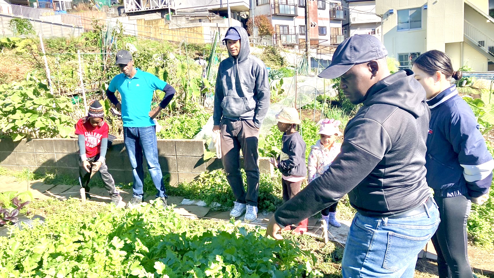 Planting Irish Potatoes at Inagi Farm